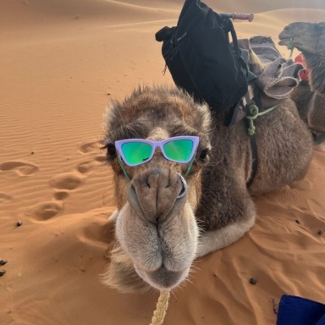 The Moontower Clawdia image 3