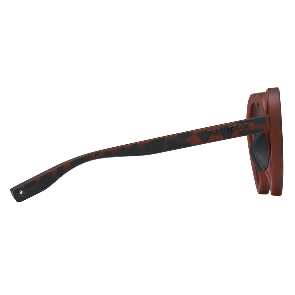 The Landlocked Admirer image 3