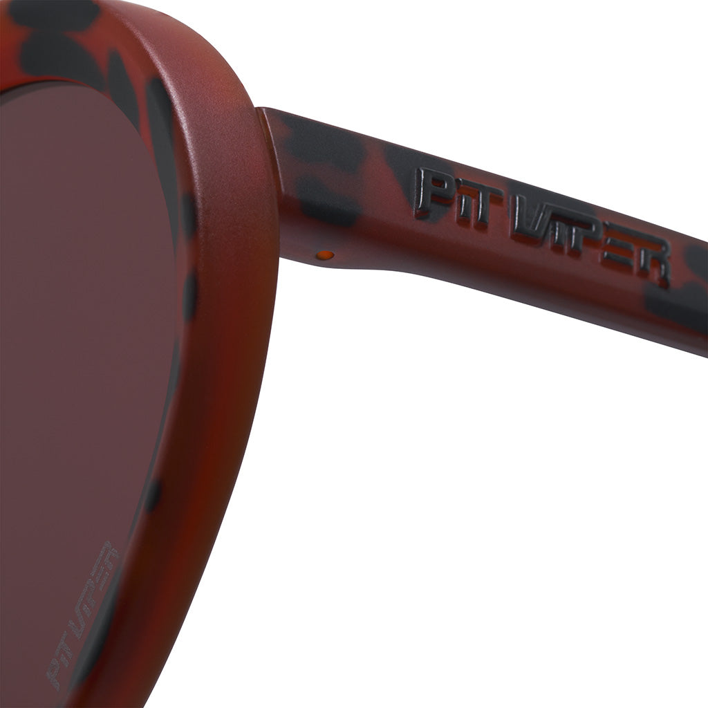 The Landlocked Admirer image 5