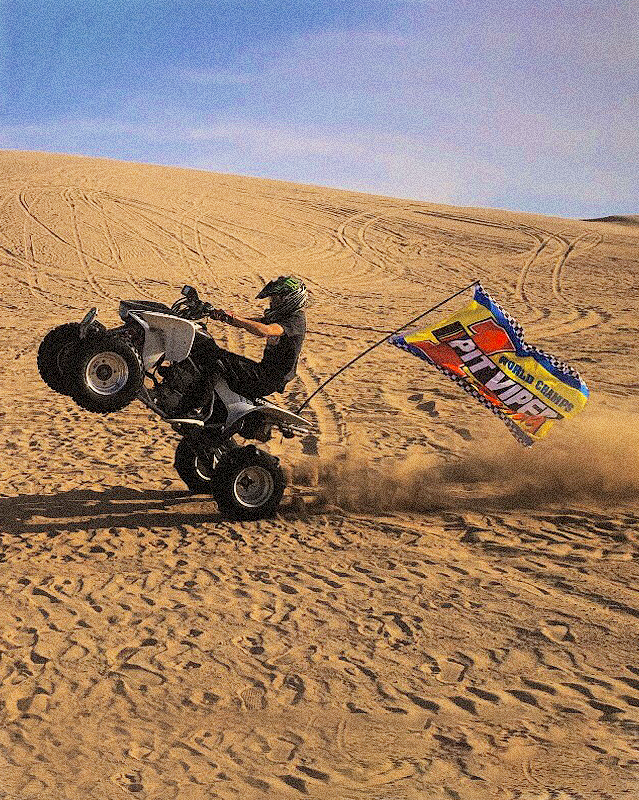 World Champs Flag image 4