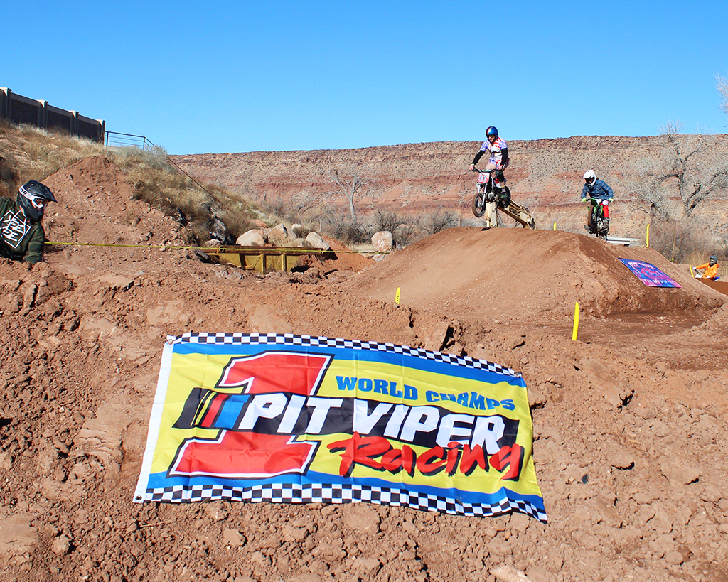 World Champs Flag image 1